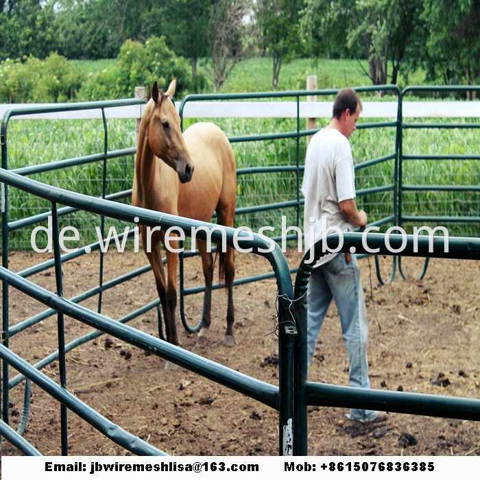 Powder Coated And Galvanized Horse Fence Panel